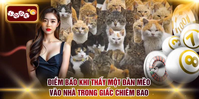 Điềm báo khi thấy một đàn mèo vào nhà trong giấc chiêm bao