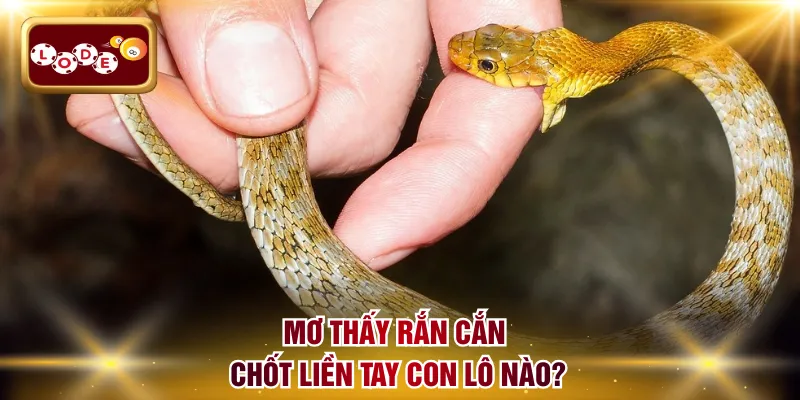 Mơ thấy rắn cắn chốt liền tay con lô nào?